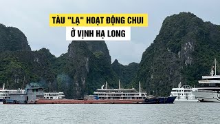 Loạt tàu 'lạ' neo đậu bất chấp, đón khách trái phép ở Vịnh Hạ Long