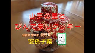 滋賀の城さんぽ 安孫子城（愛荘町）