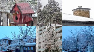 Freezing rain | Ice Pellets | Ice storm | April 5th 2023 | Ottawa Canada