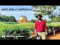 Auroville - Join a Community & get FREE Stay Food - Pondicherry Tamil Nadu