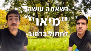 כשאתה עושה לחתול ברחוב ״מיאו״