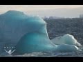 Antarctic icebergs and the carbon cycle