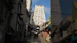 তিরুপতি স্টেশনের কাছে  এক সুবিশাল মন্দির#largesttemple #tirupatibalaji #govindarajaswamytemple