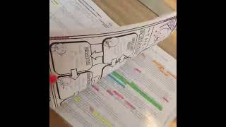 Interactive Notebooks