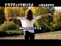 いきものがかり ドラマティックおいでよ フル歌詞