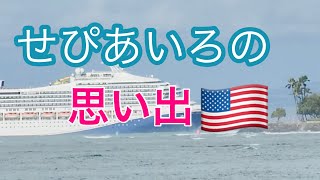 [Ep43]グランマの、昭和の時代のアメリカ生活回想録⋯ワシントンDC時代の仕事の体験談／多国民が混ざった国の常識は少し違うかも⋯/happy senior vlog