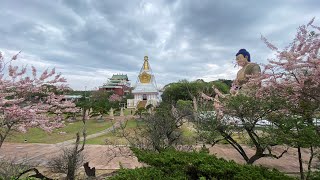 《宗教建築之美系列-噶瑪噶居寺-全台最大室內佛像及藏傳佛教寺廟》臺南市.左鎮區