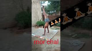 #yoga #mor chal #shorts