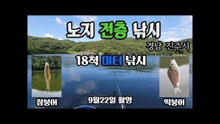 붕어가 다 떠 있다 - 붕어낚시 / 중층낚시 / 전층낚시 / 내림낚시 / 붕어 / 떡붕어 / 민물낚시 / へらぶな / crucian carp/Carp fishing