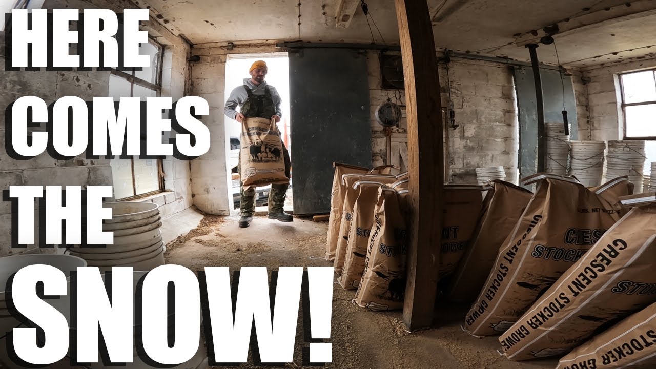 Winter Weather Prep Youtube