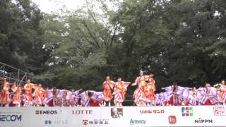 スーパーよさこい2013（茜丸）