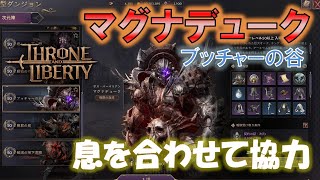 【Throne and Liberty】みんなで力を合わせてギミック解除！ブッチャーの谷マグナデュークのギミック解説。協力型ダンジョンボスID【スローンアンドリバティ/MMORPG】