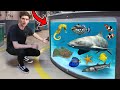 LARGEST AQUARIUM FISH & RARE EXOTIC ANIMAL TOUR!! (800+ Creatures)