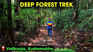 VALIKUNJA TREK - KUDREMUKHA TREK - RANI JHARI VIEW POINT - KALASA - TOP Places in CHIKAMAGALURU