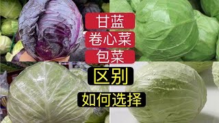 紫甘藍和綠甘藍、捲心菜和包菜的區別。除了顏色和形狀不同，營養成分和功效也有所不同。跟隨視頻一起來瞭解一下Cabbage吧！