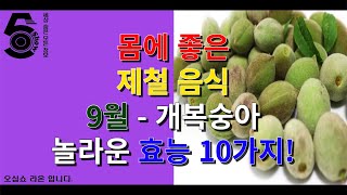 몸에 좋은 제철 음식 9월 - 개복숭아 놀라운 효능 10가지!