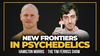 Hamilton Morris on Psychedelics, Smart Drugs, and More | The Tim Ferriss Show podcast