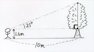 三角比の応用  木の高さを求める【一夜漬け高校数学110】