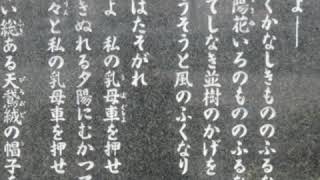 📖れいらの朗読「乳母車」三好達治🍀