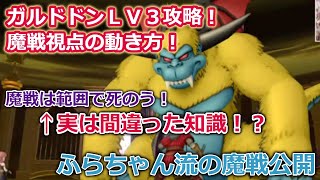 ドラクエ10実況 ガルドドンの魔戦攻略！状況を理解して範囲を避ける技術を身に付けろ！