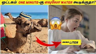 ஒட்டகம்  ONE MINUTE-கு எவுலோ WATER கூடிக்குதா?_fact in minutes_info bytes #facts #shorts