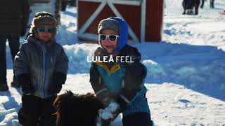 LULEÅ REAL // This is our arctic lifestyle