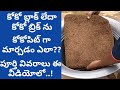 How to Make Cocopeat from Cocobrick and Use it ||how to make cocopeat at home