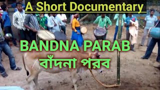 BANDNA PARAB ( বাঁদনা পরব ), New Bandna Special Video| Ahira Geet   Documentry 2023