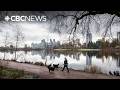 Vancouver Park Board to vote on reconnecting Lost Lagoon to ocean water