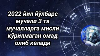 2022 йил йӯлбарс мучали 3 та мучалларга мисли кӯрилмаган омад олиб келади