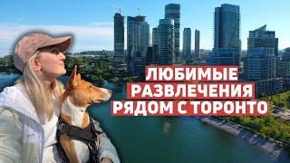 Торонто летом- Даунтаун, Ниагара, Оквилл, Лавандовые поля. Что посмотреть в Торонто за 5 дней?