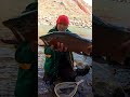 GIANT River Trout #shorts