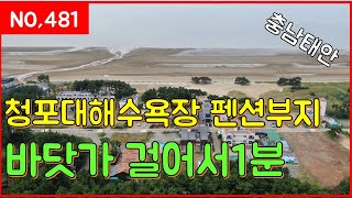 매물번호481번 청포대해수욕장 펜션부지 바닷가 걸어서 1분 일등부동산TV