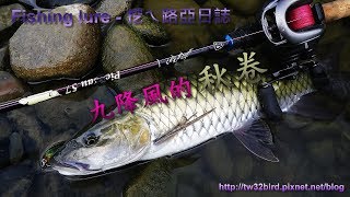 20171019 新竹溪流釣卷仔(何氏棘魞 Spinibarbus hollandi) Fishing lure / 渓流釣り in Shangping River