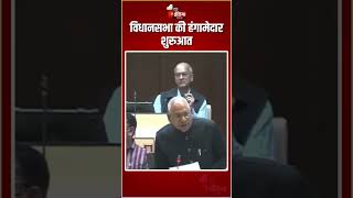 Rajasthan Vidhan Sabha Budget Session 2025: विधानसभा की हंगामेदार शुरुवात | Congress Protest | BJP