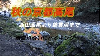 秋の京都高尾 西山高尾より錦雲渓まで　清滝川沿いにハイキング。