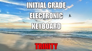 Electronic keyboard #musicvideo #trinity #shorts  #youtubeshortsvideo