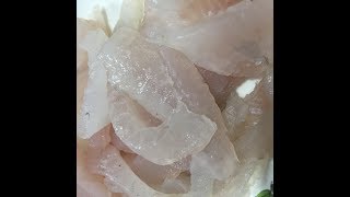 아니의 일상기록 ani's days 잡어회 small fish sashimi