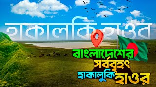 লাখো মানুষের জীবিকার উৎস হাকালুকি হাওর | Info Hunter