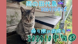 田代島〜202410中旬③〜♯雨の田代島