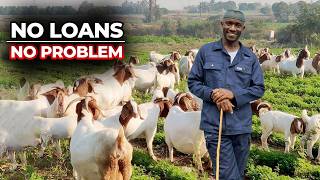 Build a Successful Goat Farm – No Loans Needed!