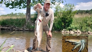 Fishing for Rainbow \u0026 Golden Trout at Cripple Creek - Part Two - Personal Best/Biggest Trout