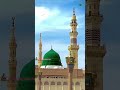 Pyare Nabi ﷺki fazilat 🫵#youtubeshorts #viralvideo #islamicvideo #trendingvideo