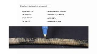 Module 2 Topic 8