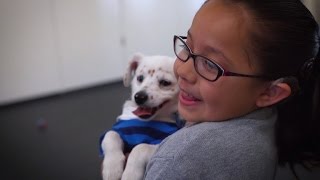 10-Year-Old Deaf Girl Teaches Sign Language To Her Hearing Impaired Dog