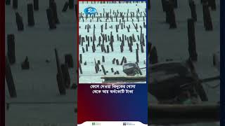 ঝিনুকের খোসা থেকে সোনা ফলিয়ে আয় অর্ধকোটি #Oyster #Shorts #Rtvnews