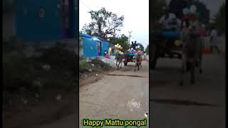 Mattu pongal celebration friends👭👬👫