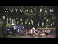 Autumn Moto Camping / Chestnut forest Solo Camping / Running Fall