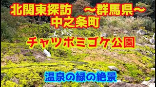 北関東探訪　チャツボミゴケ公園～群馬県～中之条町を行く。