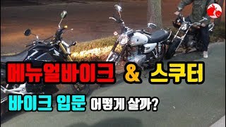 [모챌]바이크입문, 왕초보, 처음 사는 중고 바이크 어떻게 사야해?(하)